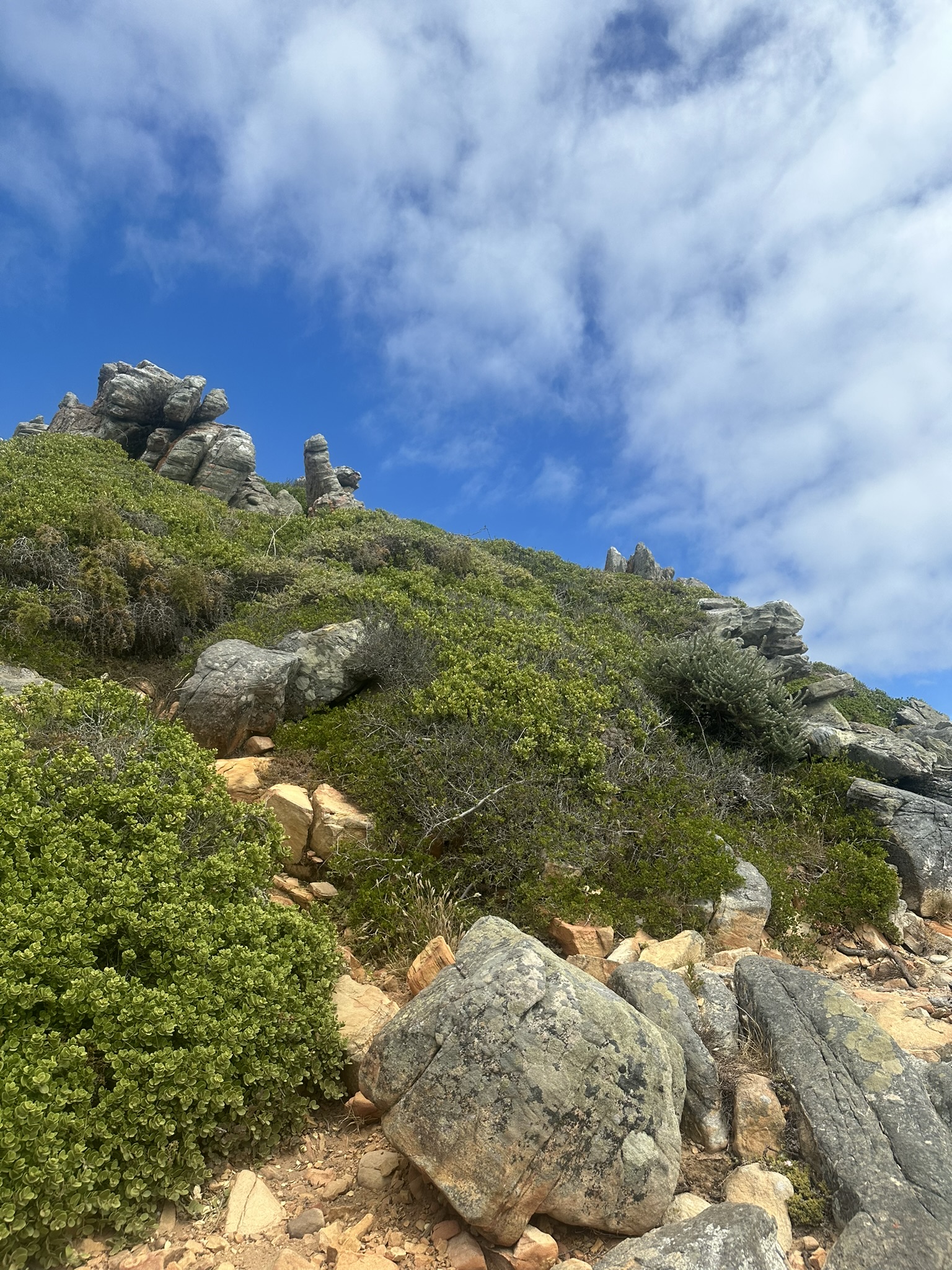 South Africa - Image 427